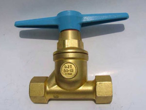 �����_�P(gu��n)